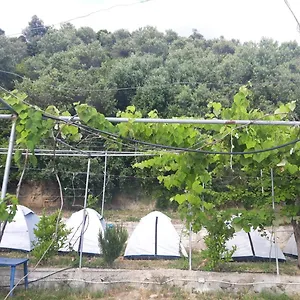 Jungle In Luxuszelt